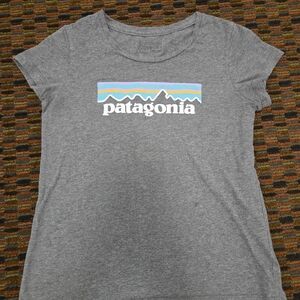Patagonia Logo Graphic T Shirt Gray Short Sleeve Outdoor Tee